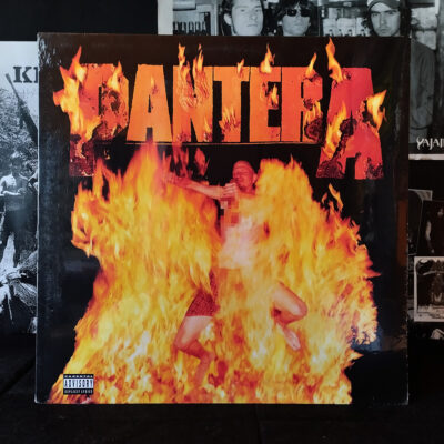 Vinilo Pantera Reinventing the steel
